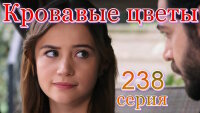 Кровавые цветы турецкий сериал 2 сезон 238 серия смотреть онлайн бесплатно